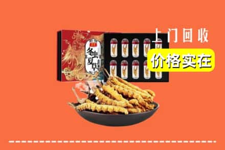 自贡市贡井回收冬虫夏草