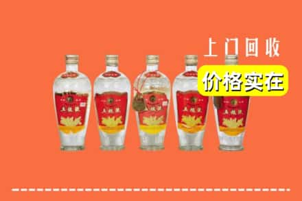 自贡市贡井回收老五粮液
